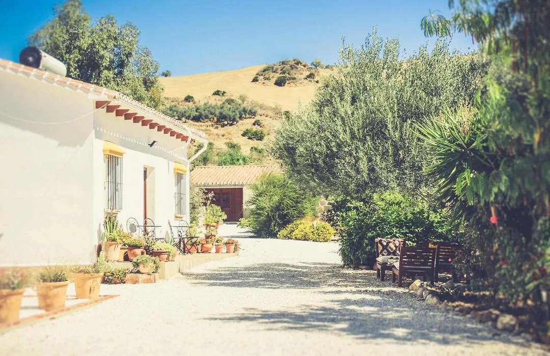 Finca El Limonar-1